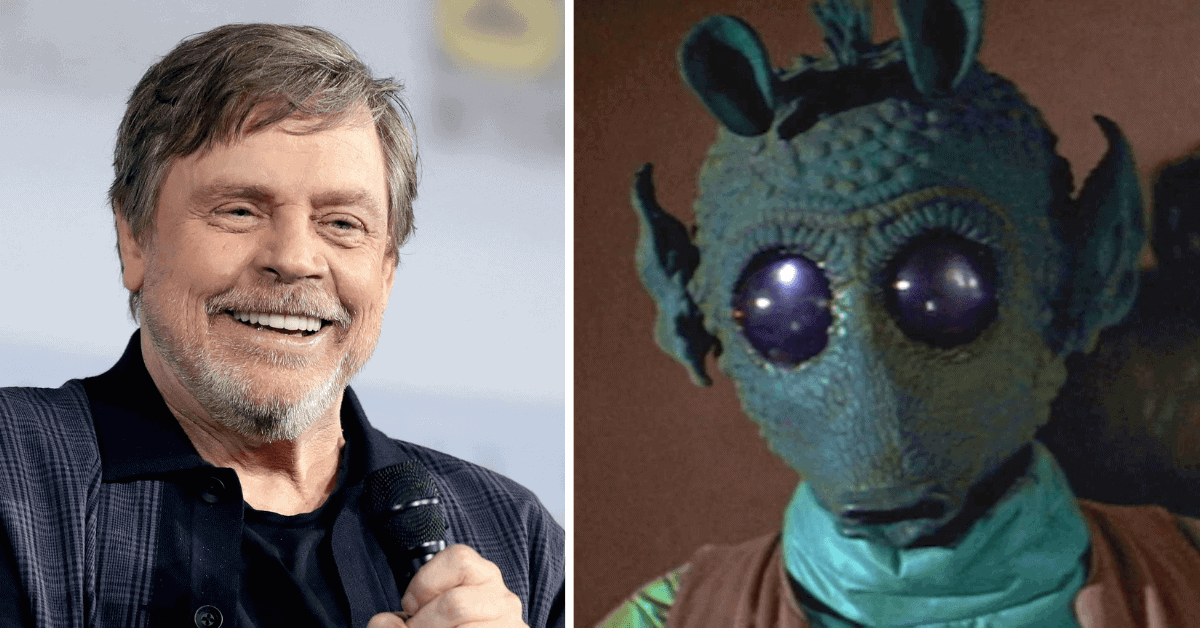 Star Wars Actor Mark Hamill