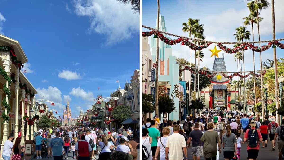 A Crowd of People Walking in Walt Disney World
