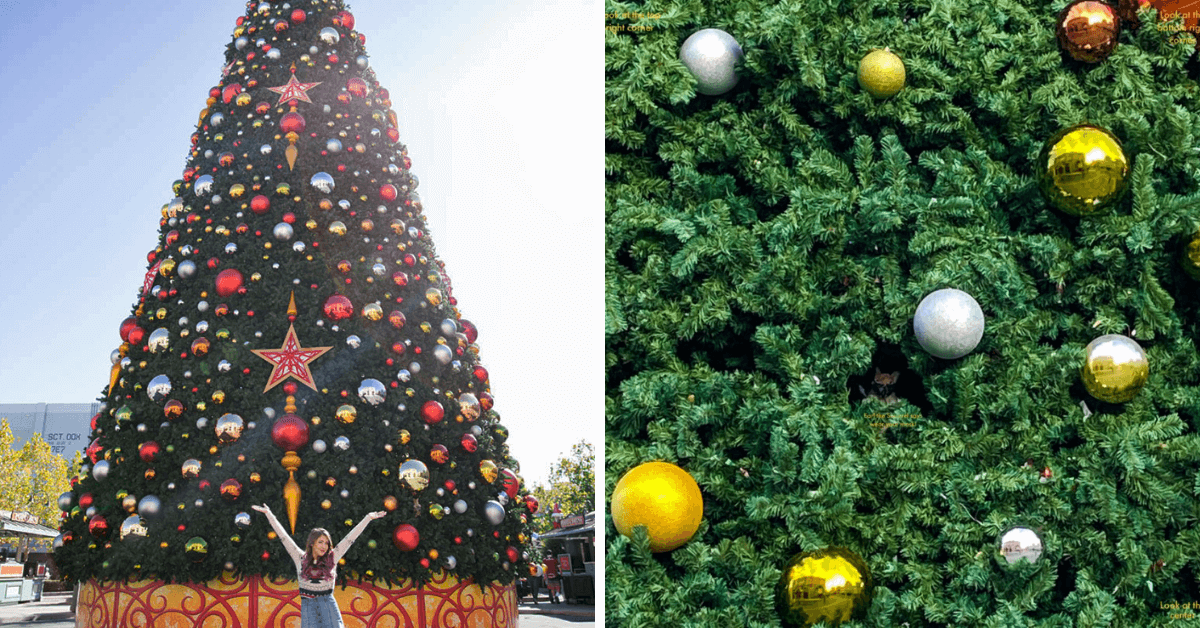 Universal Christmas Squirrel