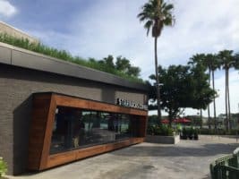disney springs starbucks