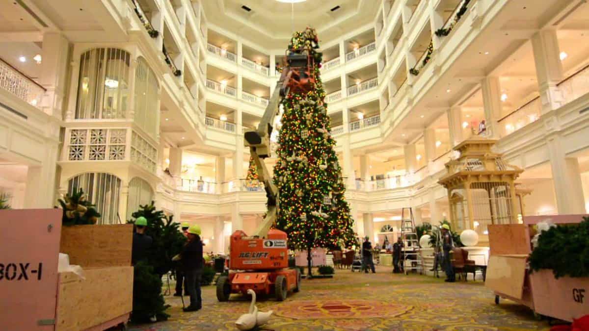 Watch Disney's Huge Grand Floridian Christmas Tree Go Up Inside the Magic