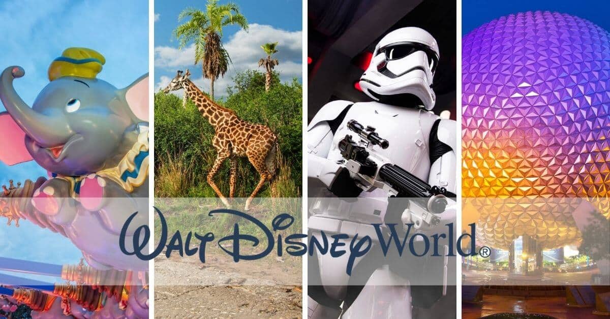 disney world