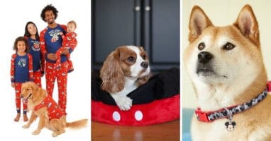 Disney Christmas Pets