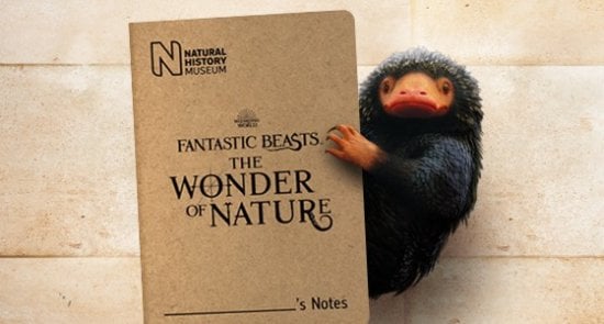 Fantastic Beasts The Wonders of Nature