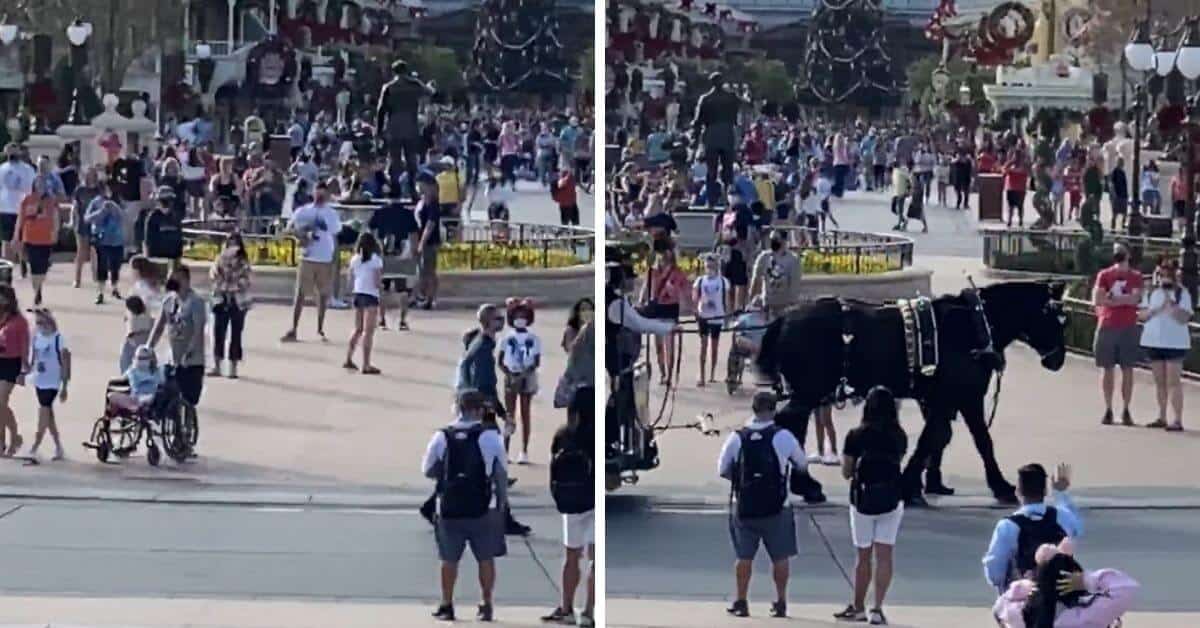 disney world