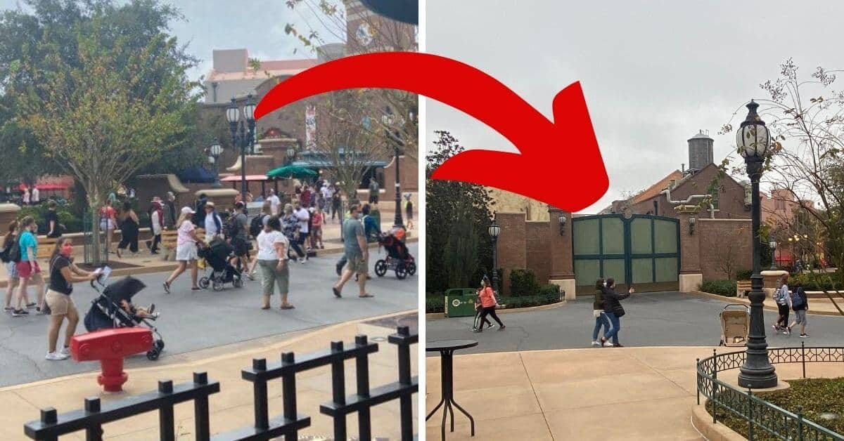 disney world crowds