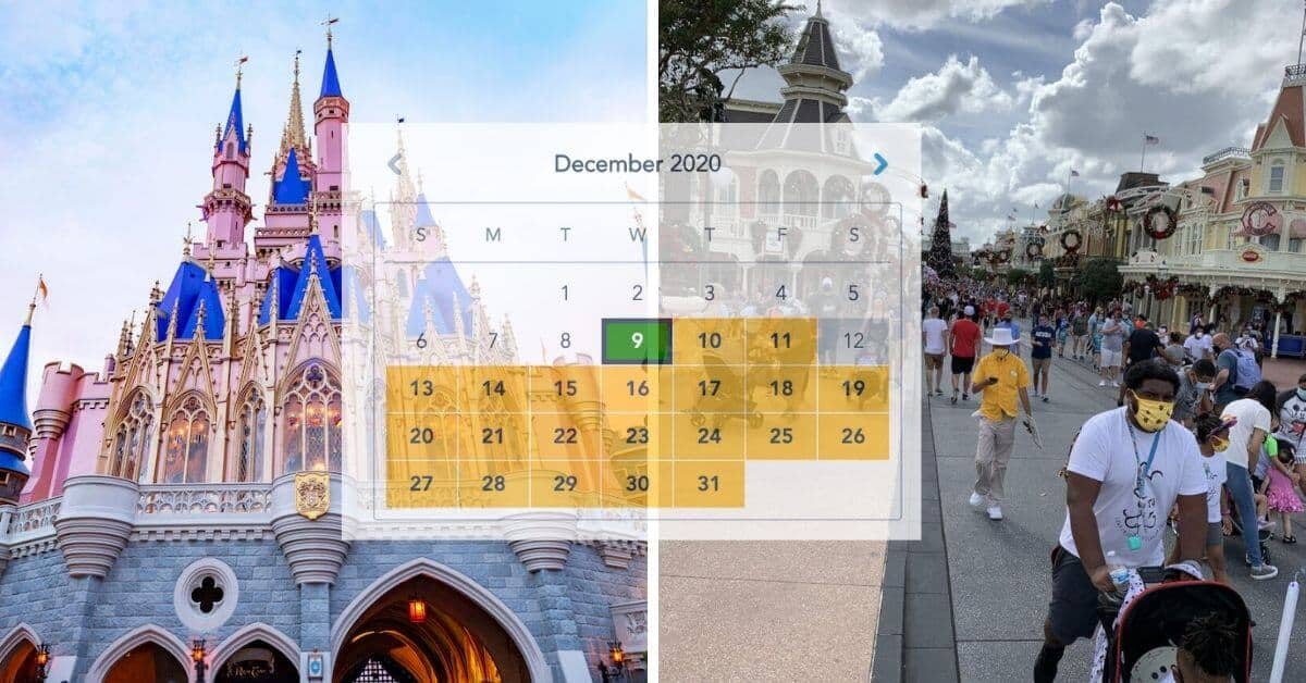 disney world