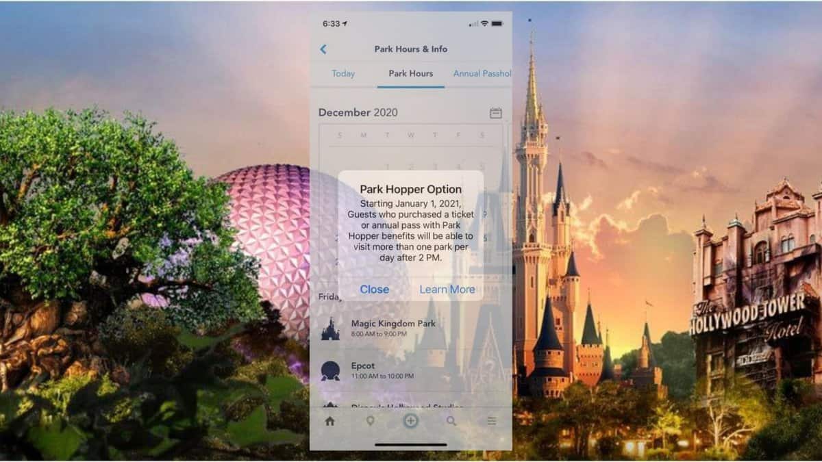 Disney World Park Hopping