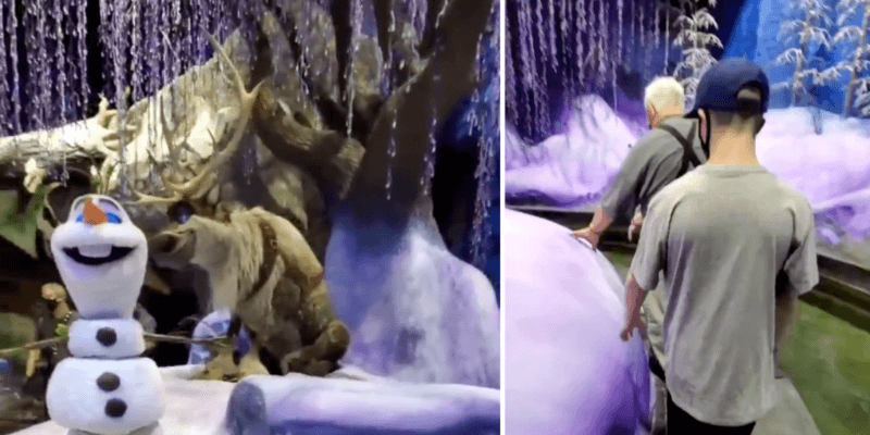 FROZEN EVER AFTER