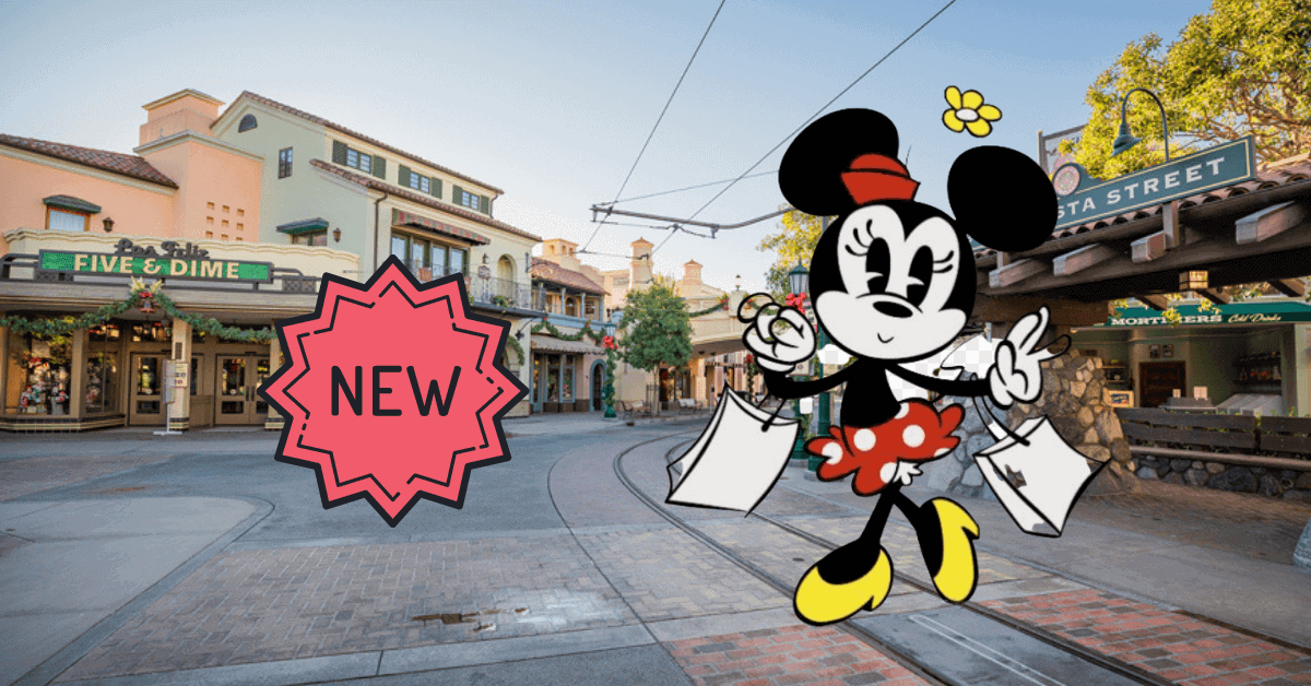 Disneyland Shopping