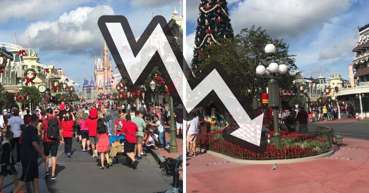 disney world