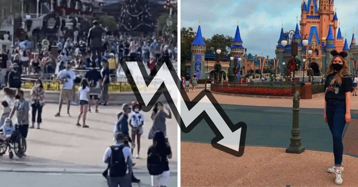 disney world crowds