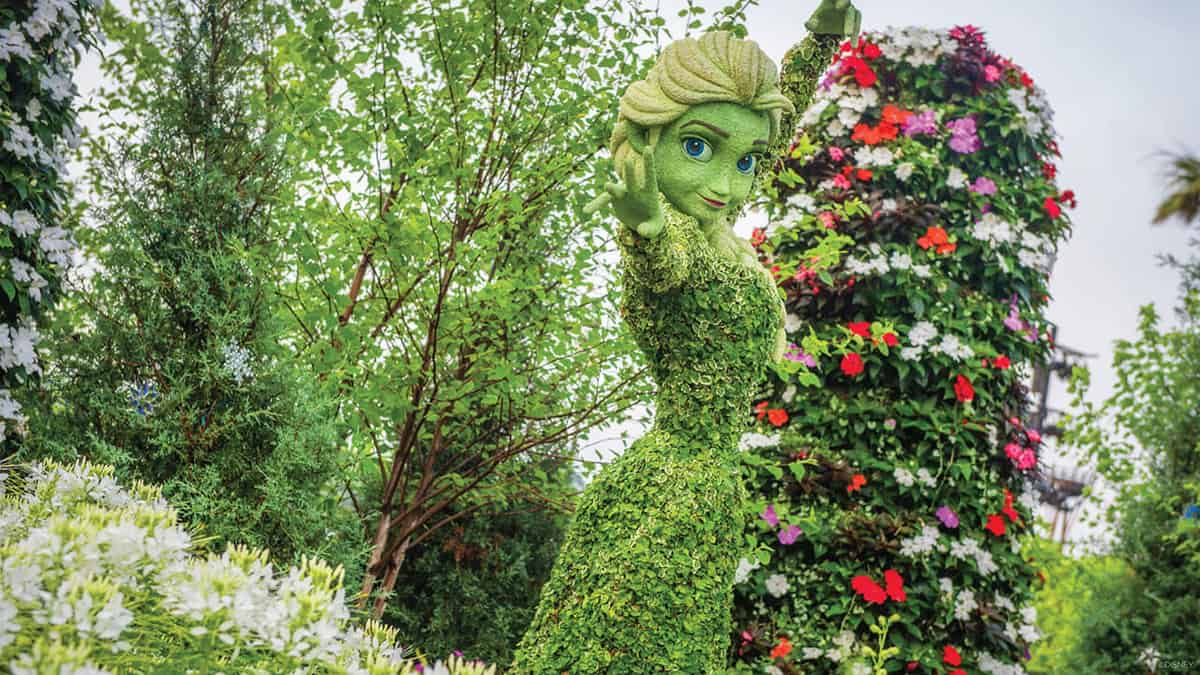 flower and garden