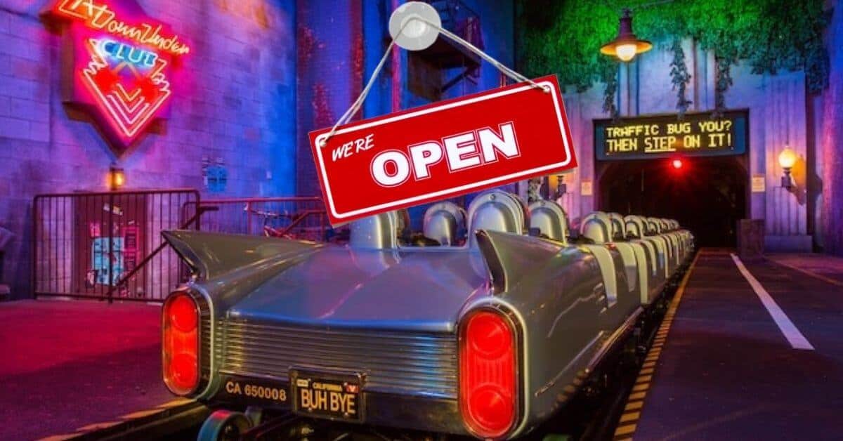 rock n roller coaster