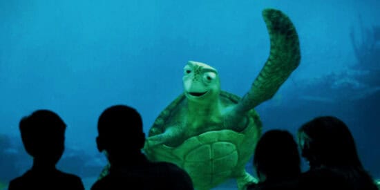 turtle talk with crush