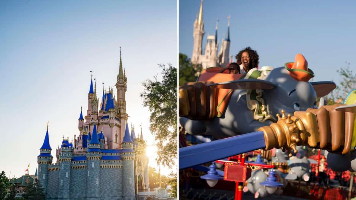 disney world