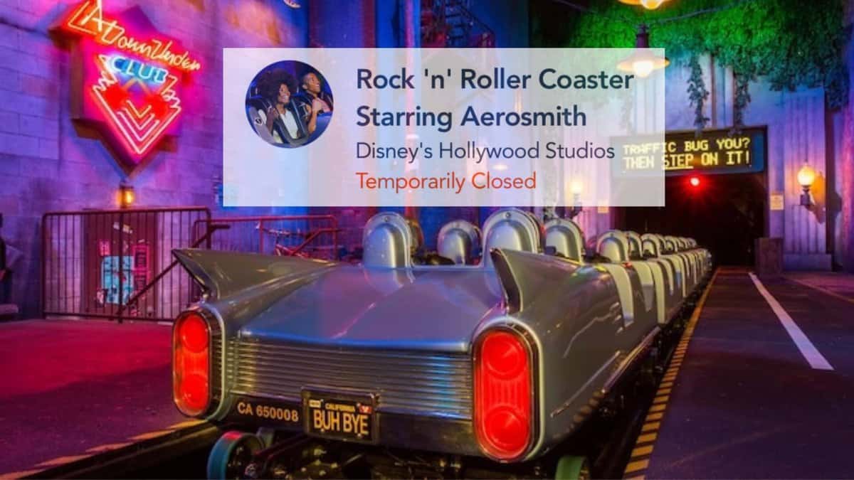 rock n rollercoaster