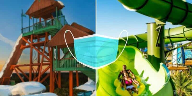 disney and universal face masks