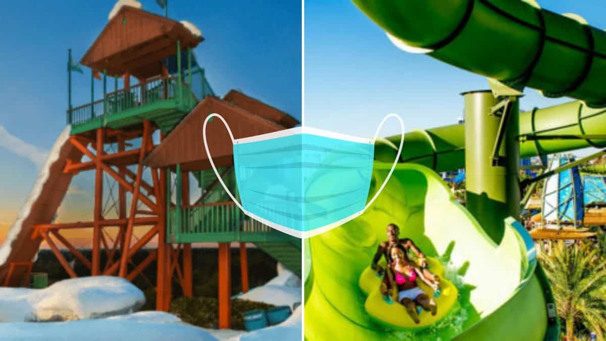 disney and universal face masks