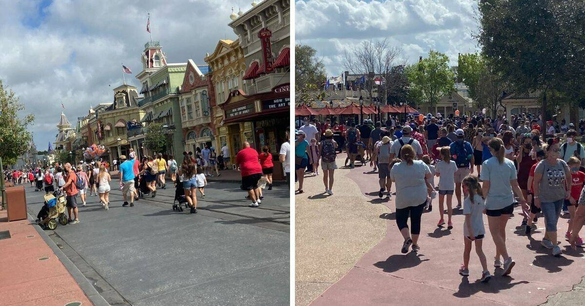 magic kingdom crowds