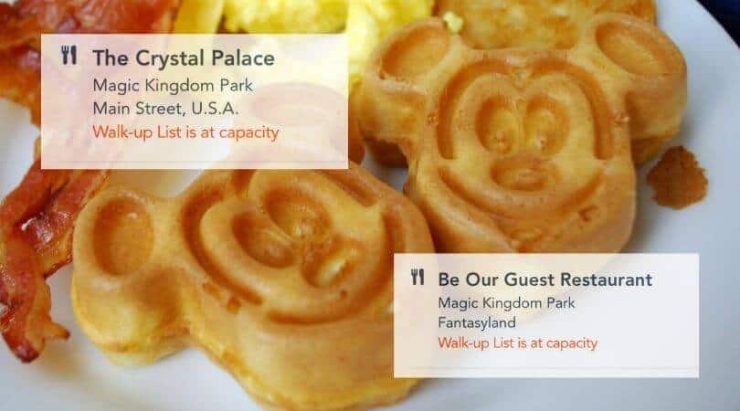 disney restaurant