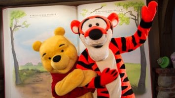 Winnie the Pooh and Tigger