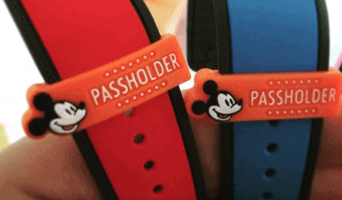 annual passholder slide