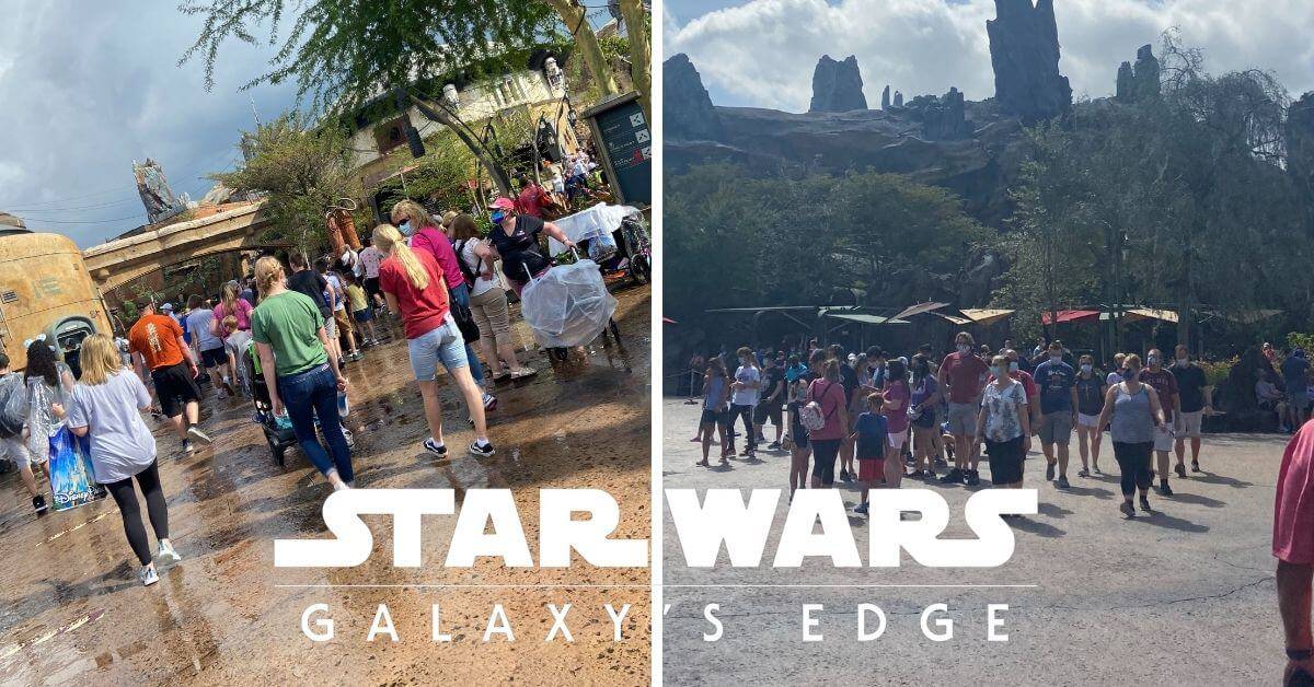 galaxys edge crowds