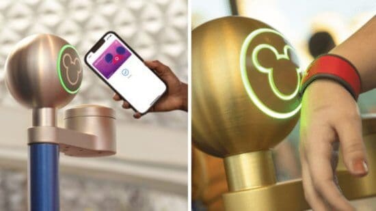 Magicband scanner