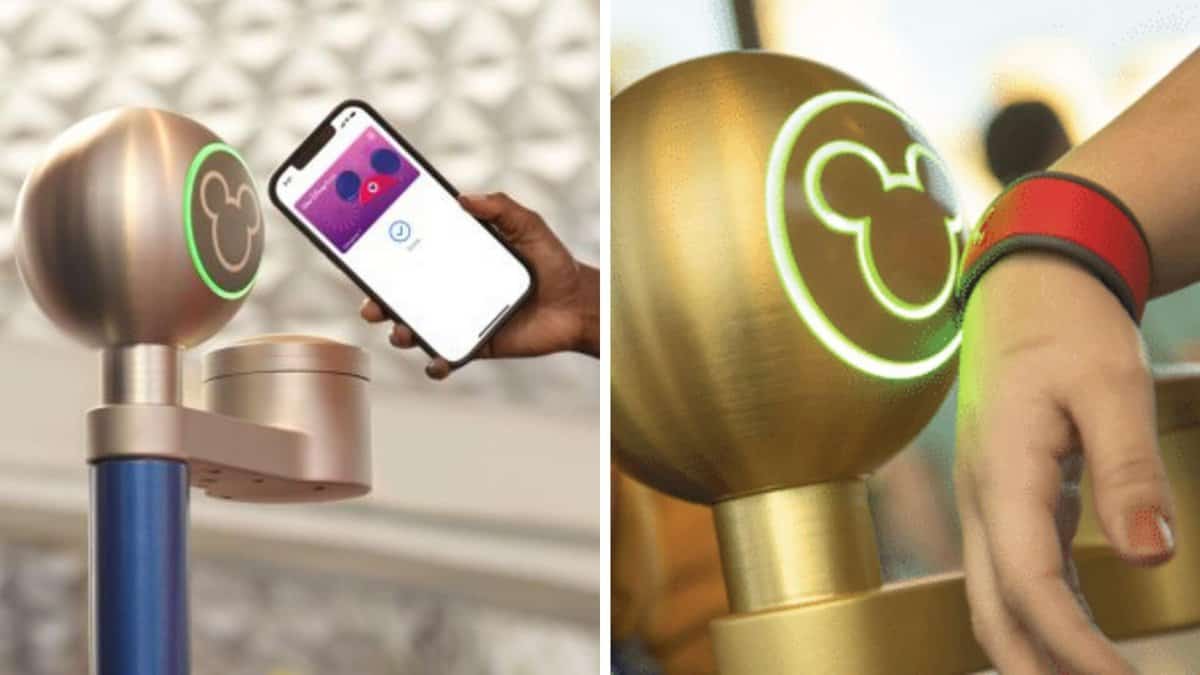 Magicband scanner