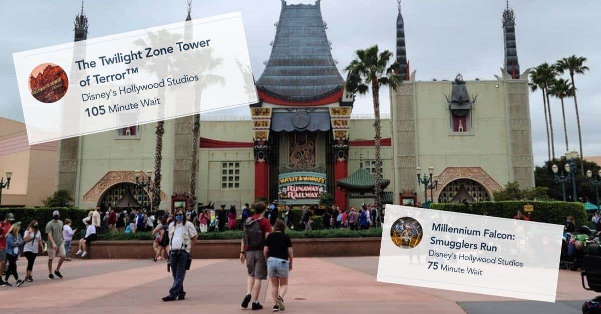 disney crowds