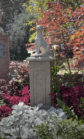 dog pet cemetery disney