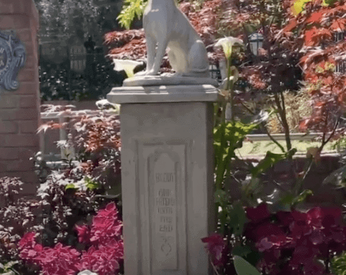 dog pet cemetery disney