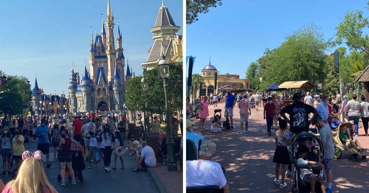 crowds disney world