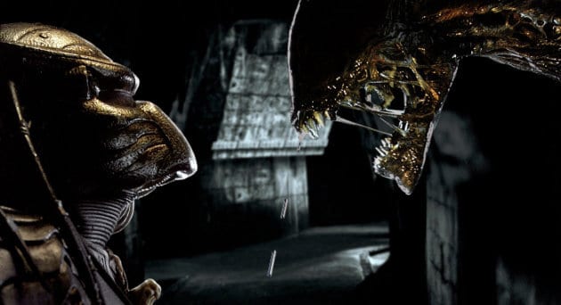 avp