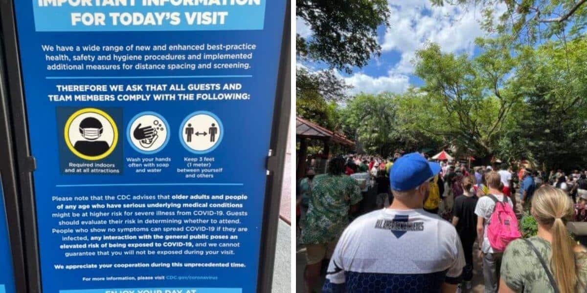 universal crowds