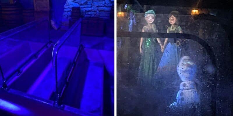 frozen ever after