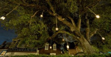 liberty square tree cover