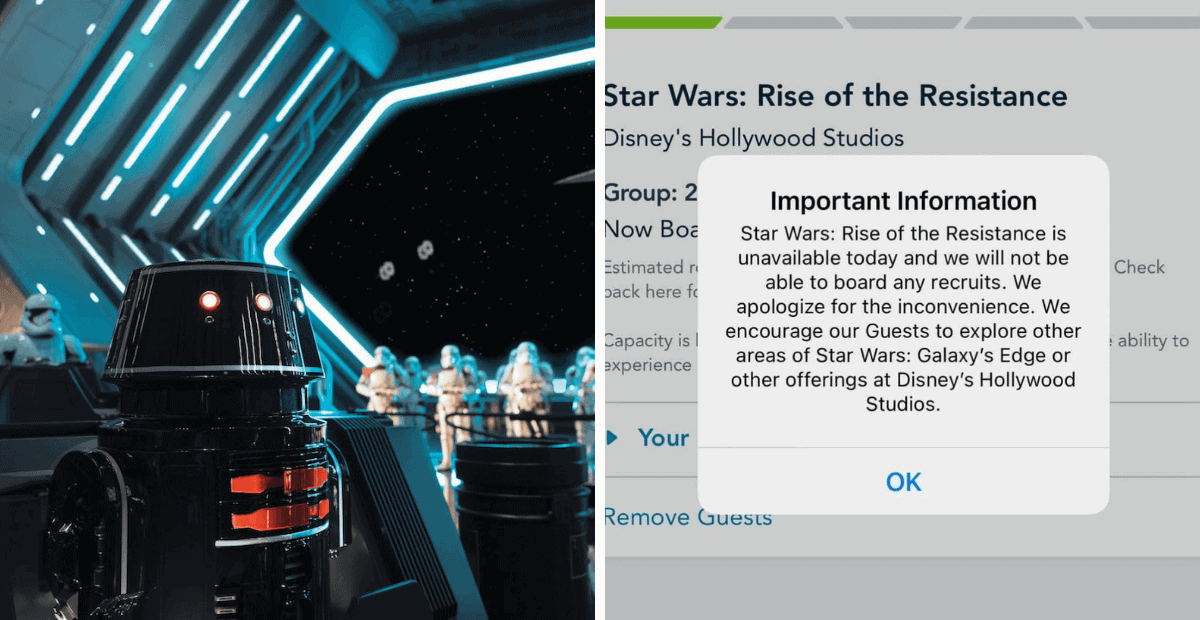 rise of the resistance down