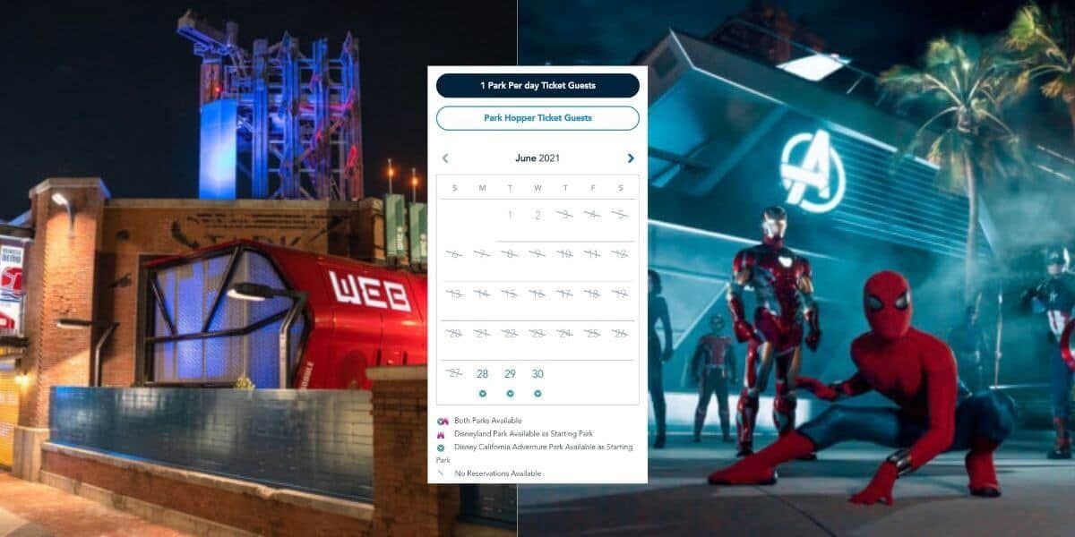 Disneyland Theme Park Reservations