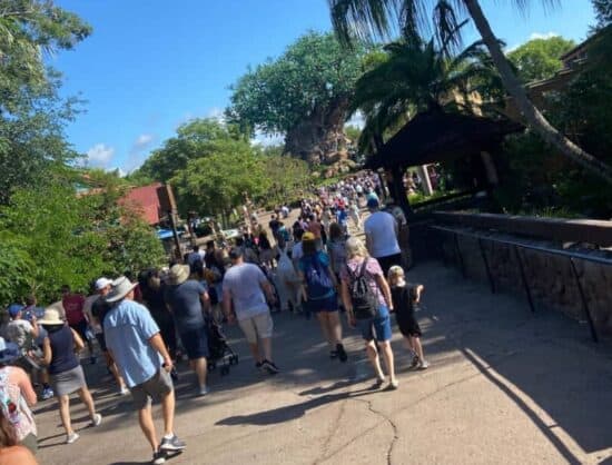 Disney World crowds