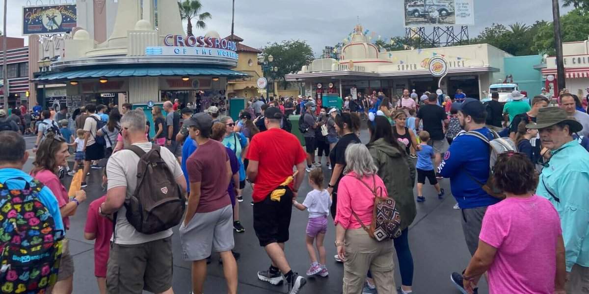 Disney World crowds. Disney World freeze damage.