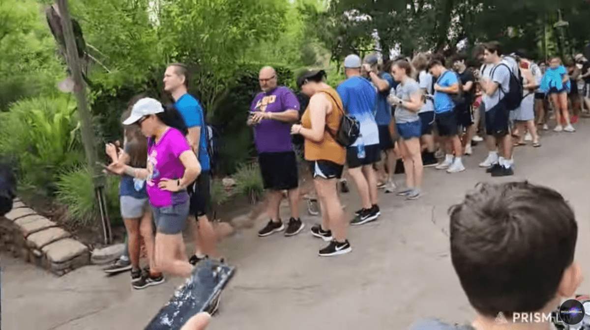 Social Distancing No Longer Enforced In Parts of Select Disney Queue Line