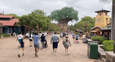 animal kingdom crowds