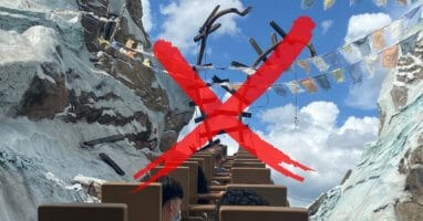 expedition everest animal kingdom