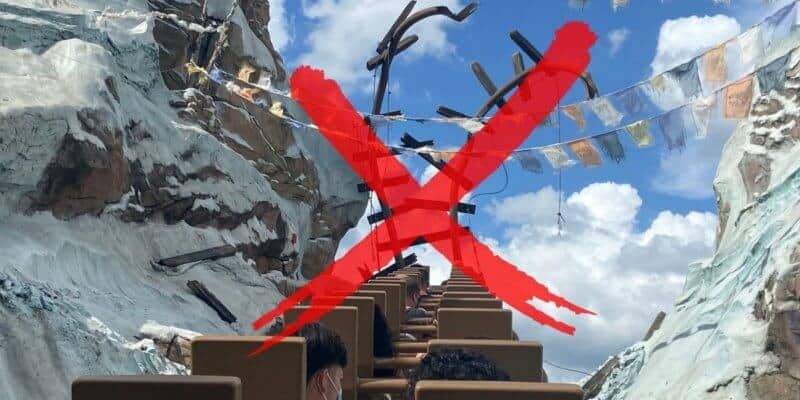 expedition everest animal kingdom
