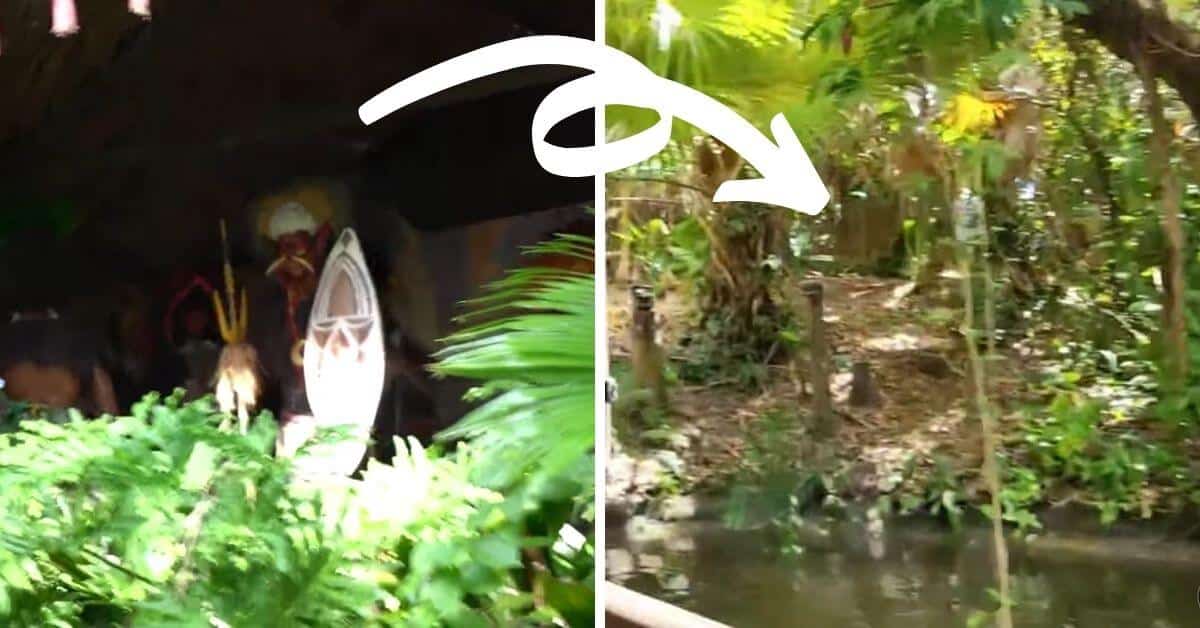 jungle cruise