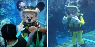 Mickey Mouse scuba diving