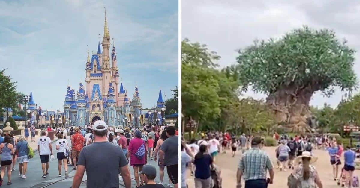 disney world crowds father's day