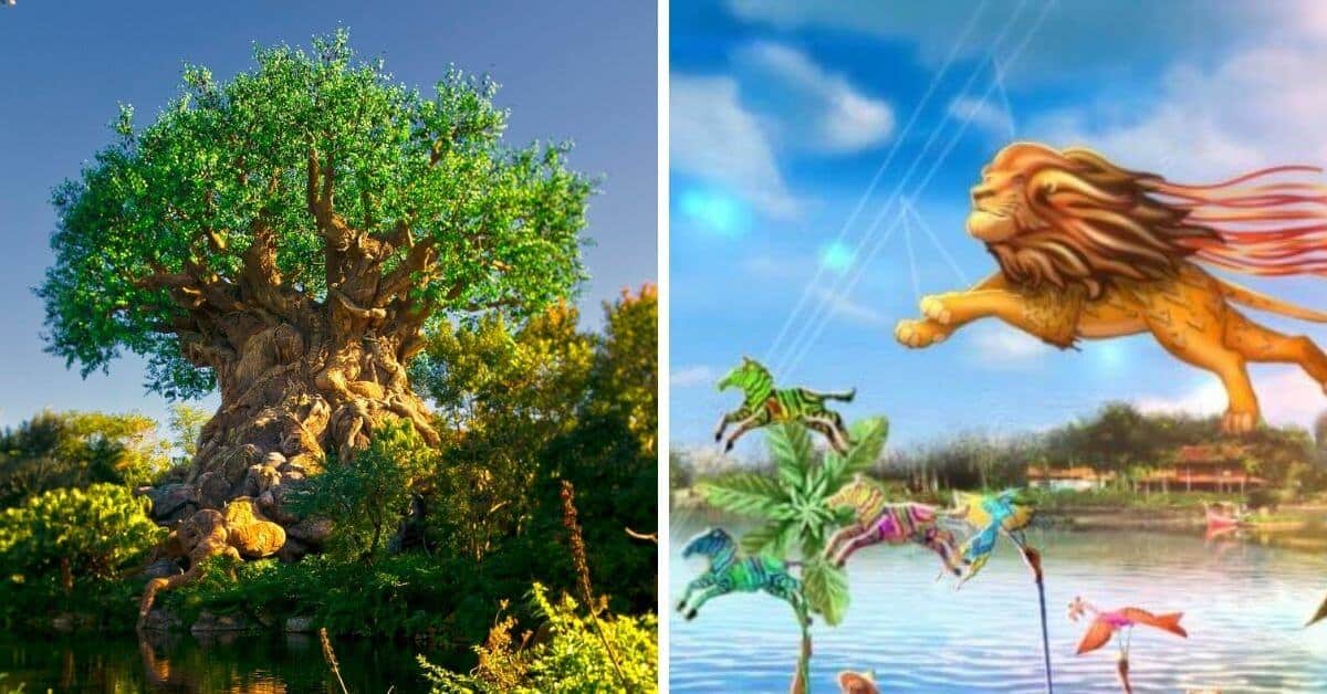 animal kingdom daytime show